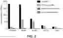 Fig. 06 - ANTIBODIES BINDING TO GPRC5D