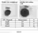 Fig. 06 - Cardiosphere-derived cell sheet and methods of making and using the same
