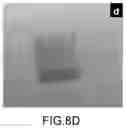 Fig. 15 - Cardiosphere-derived cell sheet and methods of making and using the same