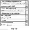 Fig. 23 - Cardiosphere-derived cell sheet and methods of making and using the same
