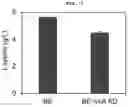 Fig. 08 - NOVEL SRNA PLATFORM FOR INHIBITING PROKARYOTIC EXPRESSION AND USE THEREOF