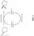 Fig. 02 - Ketoreductase polypeptides for the production of (R)-3-hydroxythiolane