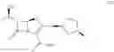 Fig. 09 - Ketoreductase polypeptides for the production of (R)-3-hydroxythiolane