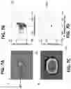 Fig. 09 - Rapid antibiotic susceptibility testing by tracking sub-micron scale motion of single bacterial cells