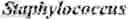 Fig. 02 - ACETYL-COA PRODUCING ENZYMES IN YEAST