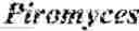 Fig. 04 - ACETYL-COA PRODUCING ENZYMES IN YEAST