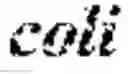 Fig. 08 - ACETYL-COA PRODUCING ENZYMES IN YEAST
