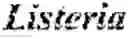 Fig. 09 - ACETYL-COA PRODUCING ENZYMES IN YEAST