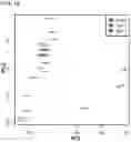 Fig. 02 - Next-generation biomarkers to detect sun damage and predict skin cancer risk