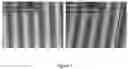 Fig. 08 - Platinum-nickel-based alloys, products, and methods of making and using same