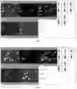 Fig. 02 - R-FE-B-based sintered magnet with low B content and preparation method therefor