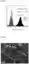 Fig. 05 - ENCAPSULATION OF EUKARYOTIC CELLS FOR CELLULAR SCREENING OF EXPRESSED SEQUENCES