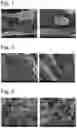 Fig. 02 - FIBER COMPLEXES AND PROCESSES FOR PREPARING THEM