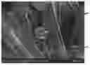 Fig. 02 - Pulp molded product and method for manufacturing same