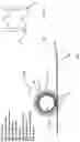 Fig. 02 - Use of spike roller on an exposed concrete surface