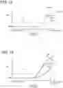 Fig. 09 - Vaned diffuser and centrifugal compressor