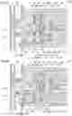 Fig. 09 - HYDRAULIC DAMPER