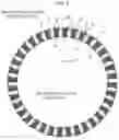 Fig. 07 - Sliding component