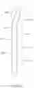 Fig. 43 - Electronic device having heat collection/diffusion structure