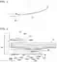 Fig. 02 - Archery bow and handle riser and limb