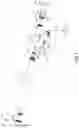 Fig. 02 - SELF-DEFENSE STICK