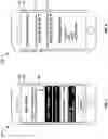 Fig. 06 - SYSTEM AND METHOD OF SAFELY DISTRIBUTING HIGH DEMAND PRODUCTS
