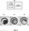 Fig. 06 - Methods and systems for identifying internal conditions in juvenile fish through non-invasive means