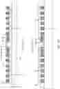 Fig. 12 - Bridge support structure