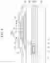 Fig. 09 - Organic light emitting diode display device including etch stop layer