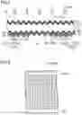 Fig. 02 - METHOD FOR MANUFACTURING SOLAR CELL, AND HOLDER USED FOR SAME