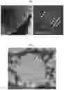 Fig. 02 - Positive electrode active material and lithium secondary battery including the same