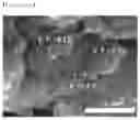 Fig. 08 - SULFUR-CARBON COMPOSITE, PREPARATION METHOD THEREFOR, AND POSITIVE ELECTRODE AND LITHIUM SECONDARY BATTERY COMPRISING SAME
