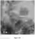 Fig. 09 - Expansion-tolerant three-dimensional (3D) carbon-based structures incorporated into lithium sulfur (Li S) battery electrodes