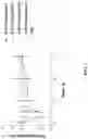 Fig. 02 - Alpha-2-adrenergic receptor agonists for treatment of presbyopia, visual glare, visual starbursts, visual halos and night myopia