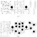 Fig. 02 - HYDROGELS AS ORAL DELIVERY DOSAGE FORMS, METHODS OF MAKING AND USING SAME