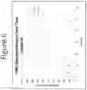 Fig. 07 - Transdermal device comprising acetaminophen prodrug