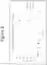 Fig. 09 - Transdermal device comprising acetaminophen prodrug