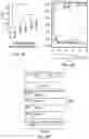 Fig. 14 - METHODS AND MATERIALS FOR IDENTIFYING AND TREATING CANCER