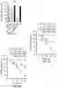 Fig. 17 - METHODS AND MATERIALS FOR IDENTIFYING AND TREATING CANCER