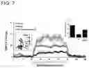 Fig. 08 - METHOD AND COMPOSITION FOR REVERSING COGNITIVE IMPAIRMENTS AND LOSS USING SGLT2 INHIBITORS