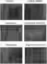 Fig. 01 - Composition for Protecting Cornea