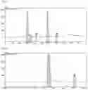 Fig. 02 - Antioxidant composition comprising extract or fraction thereof as active ingredient