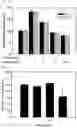 Fig. 06 - Antioxidant composition comprising extract or fraction thereof as active ingredient