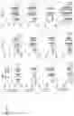 Fig. 03 - Modulation of neuronal NKCC1 as a therapeutic strategy for spasticity and related disorders
