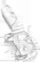 Fig. 01 - Console bin assembly for a vehicle