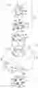 Fig. 01 - DECORATIVE MEMBER AND COVER BODY OF MODULE