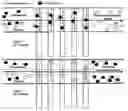 Fig. 02 - Dual-Channel Double-Electrode Cache Device for Continous Deionization of High Salinity Waters
