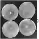 Fig. 08 - Nitric oxide-releasing antibiotics, methods of making, and methods of use