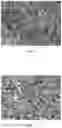 Fig. 06 - METHOD OF PRODUCING SILVER NANOPARTICLES, AND SILVER PASTE CONTAINING SILVER NANOPARTICLES