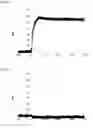 Fig. 05 - MODIFIED BINDING PROTEINS INHIBITING THE VEGF-A RECEPTOR INTERACTION